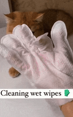 Dretitude® Pet Glove Wipes