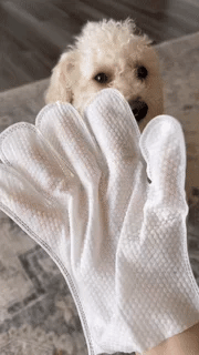 Dretitude® Pet Glove Wipes