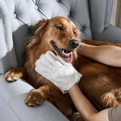 Dretitude® Pet Glove Wipes