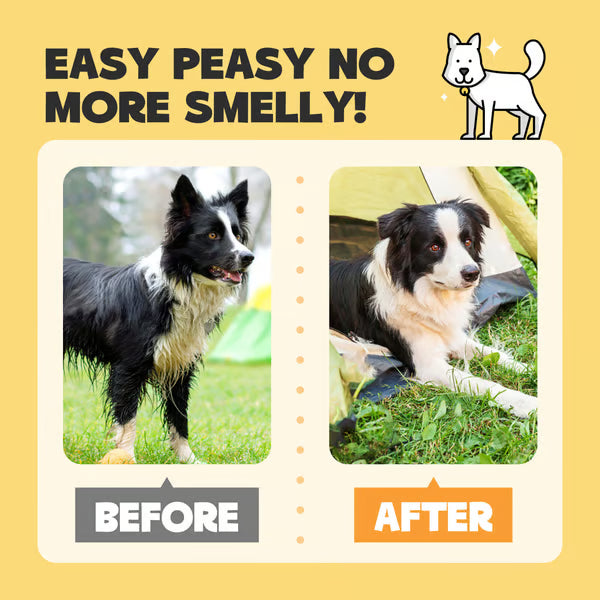 Dretitude® Pet Glove Wipes